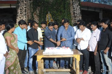 Dictator Movie Gummadikaya Function